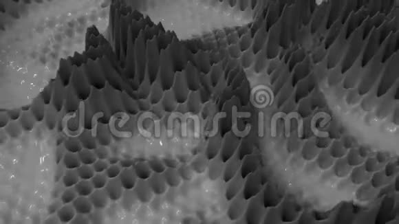 4K独特的有机流体背景视频的预览图