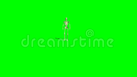 骨架行走绿色屏幕视频的预览图