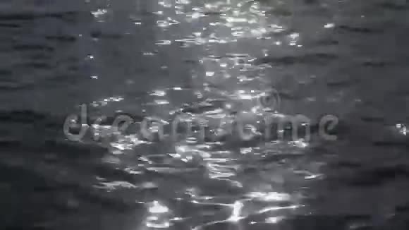 傍晚的水面视频的预览图
