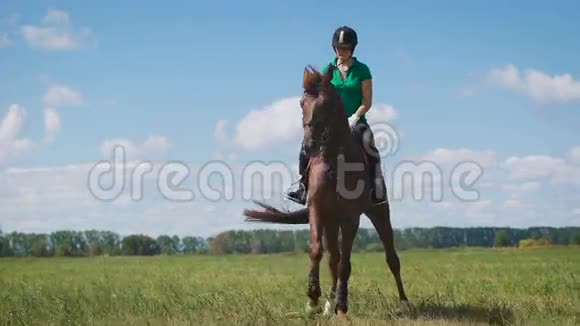 年轻女子骑着马在绿色的田野上视频的预览图