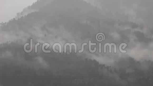 雾中的山林视频的预览图