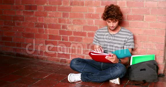 学生坐在墙上阅读教科书视频的预览图