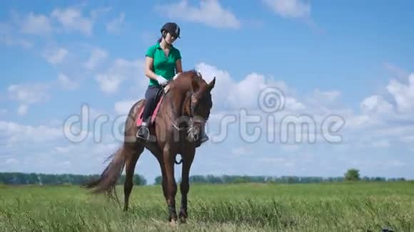 年轻女子骑着马在绿色的田野上视频的预览图