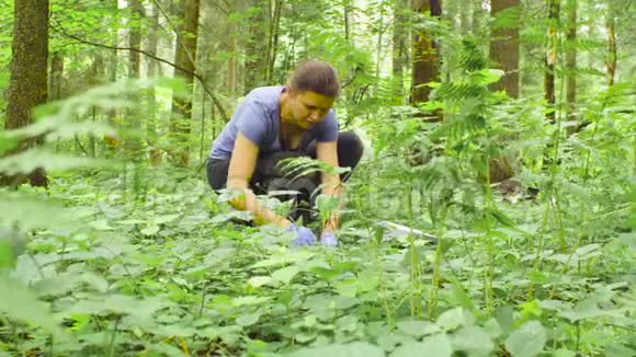 女性生态学家采集土壤样本视频的预览图