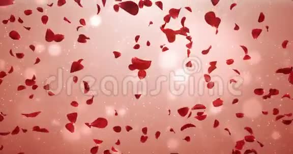 飞翔的浪漫轻红玫瑰花瓣飘落背景回路4k视频的预览图