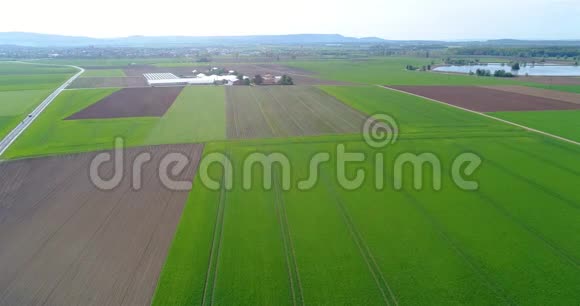 绿色的大田飞过田野生长着植物农业绿色的大田背景上有一个小田视频的预览图