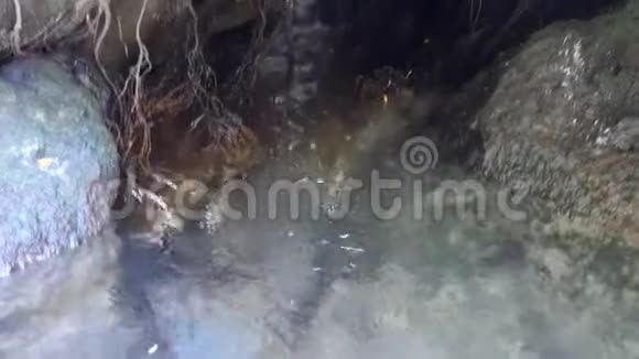 巴厘岛邦利PuraTirtaSudamala的净化水仪式视频的预览图