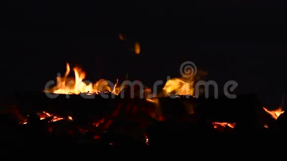 篝火与燃烧的木头和树枝在夜间视频的预览图