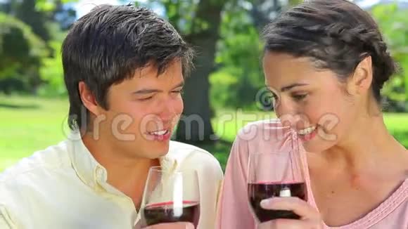 幸福的一对夫妇碰杯红酒视频的预览图
