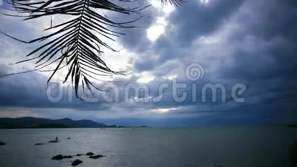 在多云的天空背景下挥舞着棕榈枝视频的预览图
