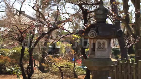 东京哥图基寺视频的预览图