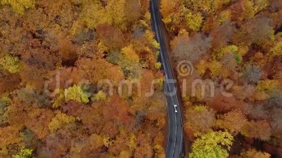 穿过秋天森林的道路鸟瞰图视频的预览图