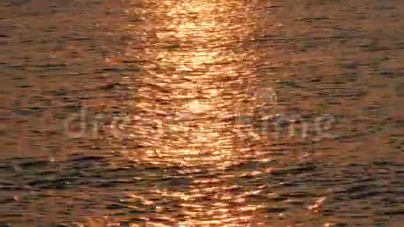 日落时金色的海面视频的预览图