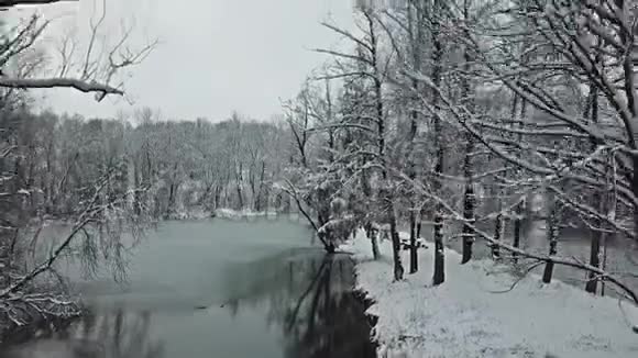 穿过德国典型的冬季景观视频的预览图