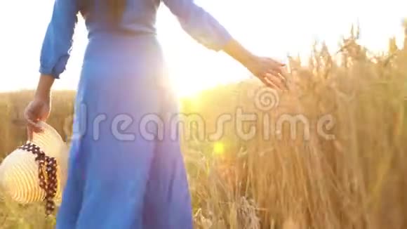 一只雌手在夕阳下抚摸着田野上的小麦视频的预览图