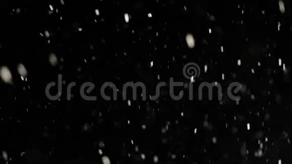 夜间降雪视频的预览图