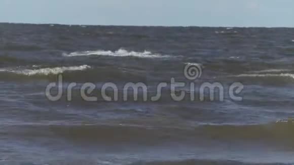 波罗的海沿岸的波浪视频的预览图