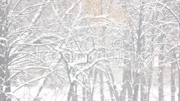 冬季降雪接近了视频的预览图