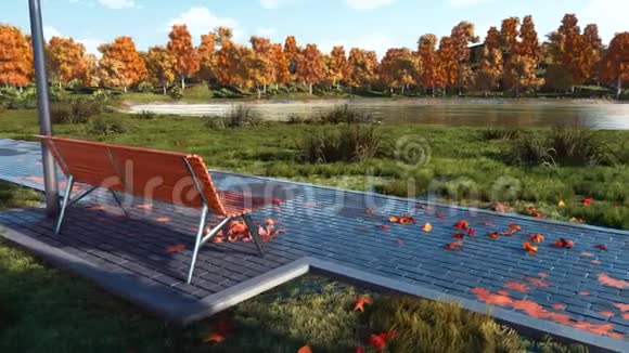 秋天公园里空荡荡的长凳和五颜六色的秋树视频的预览图
