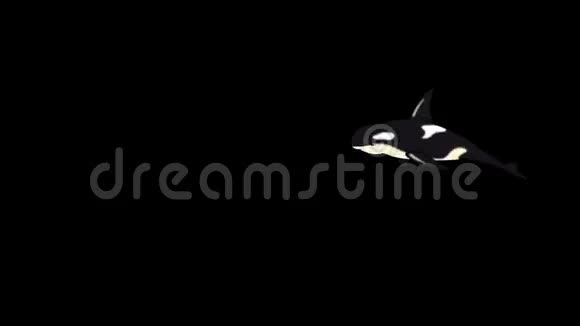 致命的鲸鱼水下视频的预览图