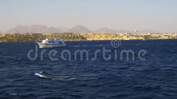 埃及海岸和海滩背景下红海波浪上的游船漂浮视频的预览图