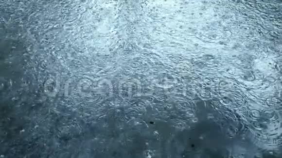 慢动作大雨水滴视频的预览图