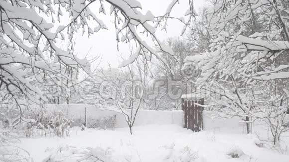 在农村降雪的背景下视频的预览图