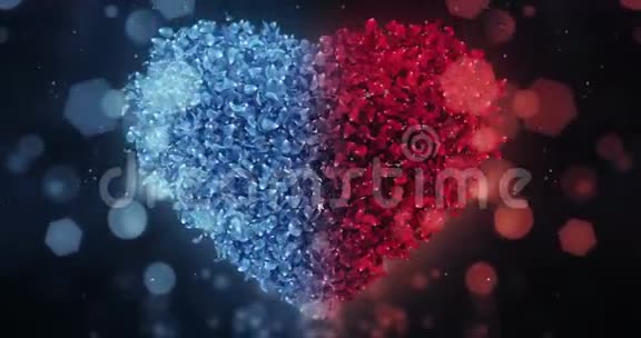红蓝玫瑰花花瓣在可爱的心形背景循环4k视频的预览图