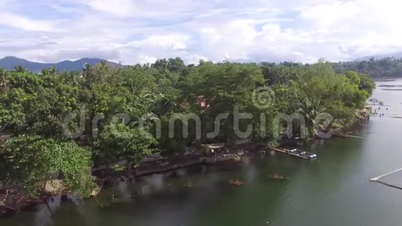 山湖岸边的树木和植被空中无人机视频的预览图