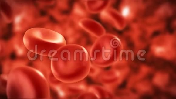 在静脉中流动血细胞视频的预览图