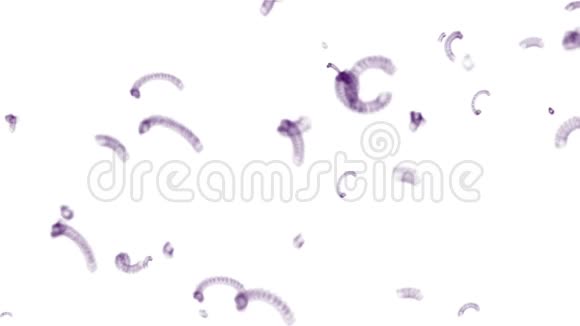 抽象微生物细菌细胞真菌蠕虫线虫昆虫弯曲生命视频的预览图