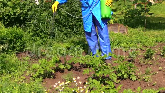 农民防护工作服喷洒农药马铃薯植株视频的预览图