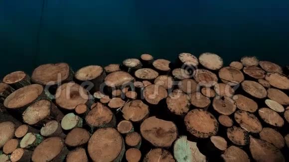 树桩背景视频的预览图