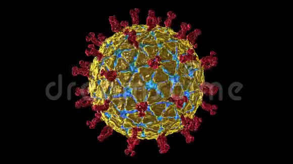 轮状病毒旋转视频的预览图