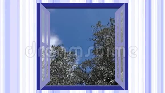 从窗户看到的一棵树卡通片视频的预览图