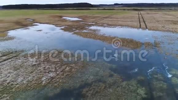 春季水淹地区和湖泊的鸟瞰图视频的预览图