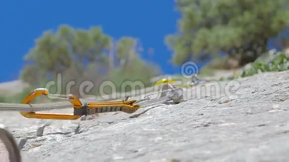 高加索人攀岩视频的预览图