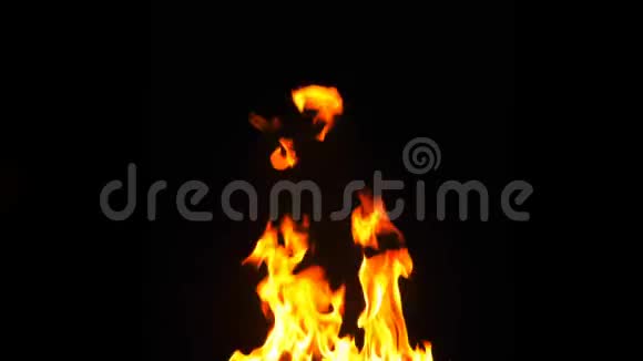 火燃烧火焰运动视频的预览图