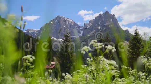 美丽的高山草甸视频的预览图