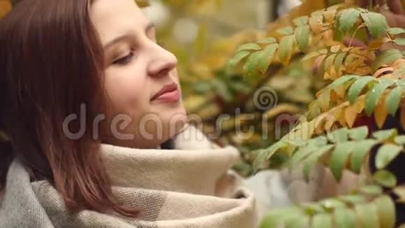 秋天公园里一位年轻女子在一片黄叶山灰中的肖像视频的预览图