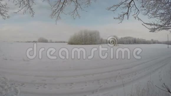 美丽的冬季景观有田野和树木时间流逝4K视频的预览图