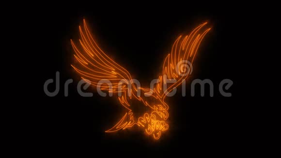 燃烧橙鹰动画标志循环图形元素视频的预览图