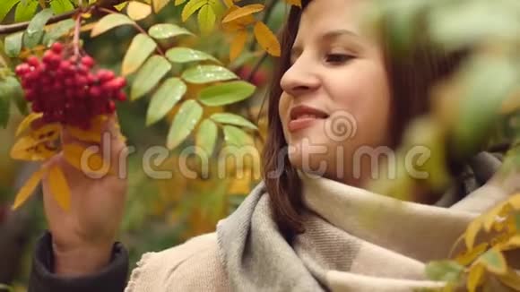 秋天公园里一位年轻女子在一片黄叶山灰中的肖像视频的预览图