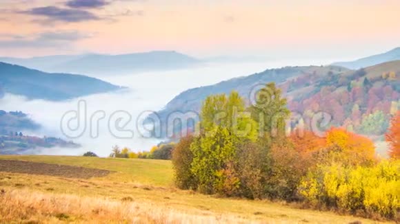 秋天的风景带着雾在山上山上的森林视频的预览图