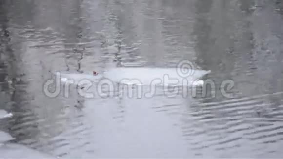 河上浮冰视频的预览图