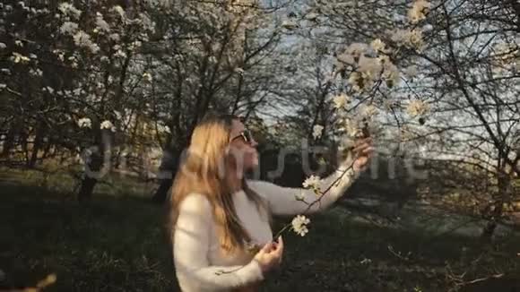 穿着毛衣牛仔裤的迷人年轻女子在盛开的苹果树间翩翩起舞日落春天的果园和视频的预览图