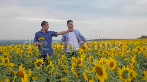 两个农民男子商务智能手机探索步行检查向日葵作物在田间慢动作视频生活方式视频的预览图