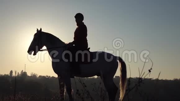 日落时骑着马的剪影慢动作视频的预览图