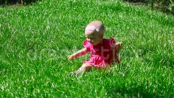 小女孩在草地上视频的预览图