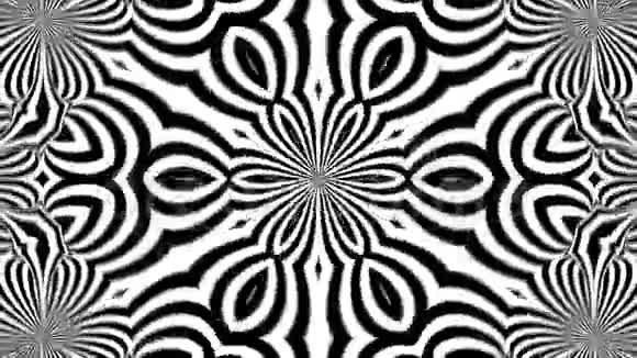 抽象对称黑白万花筒三维渲染背景计算机生成视频的预览图